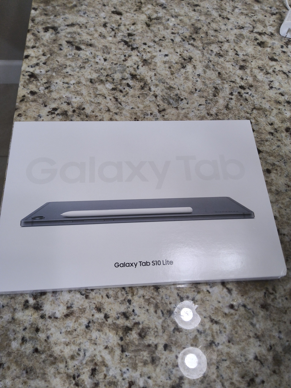 Samsung Galaxy Tab S10 Lite Tablet with White Stylus - Gray